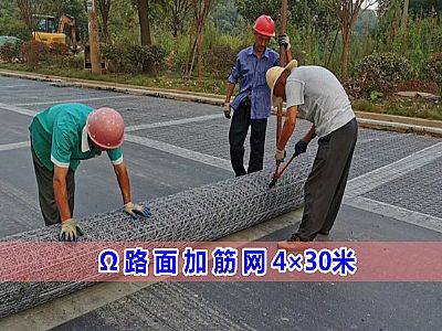 Ω型路面加筋網(wǎng)4×30米